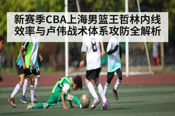 新赛季CBA上海男篮王哲林内线效率与卢伟战术体系攻防全解析